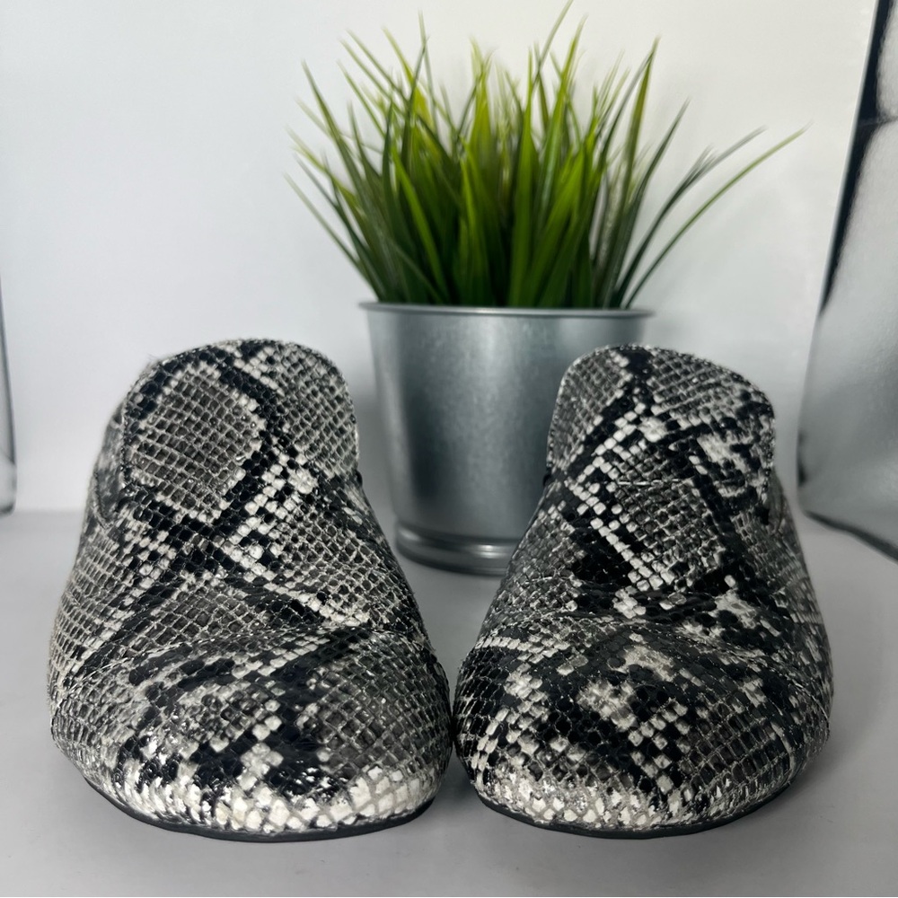 Jeffrey Campbell Snakeskin Python Cap Toe Loafers… - image 2